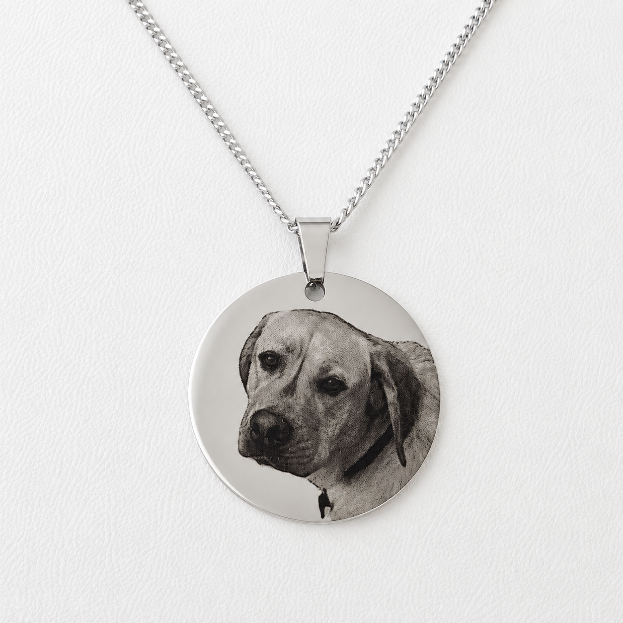 Collar Grabado con foto de tu Mascota 🐾